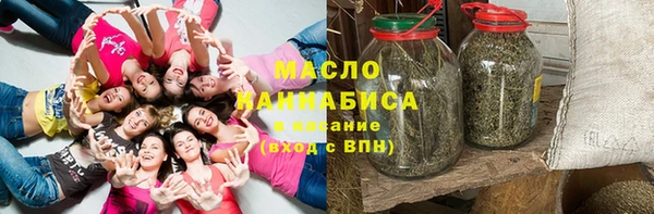 индика Абинск